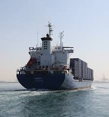 Sunmarine Shipping Services LLC