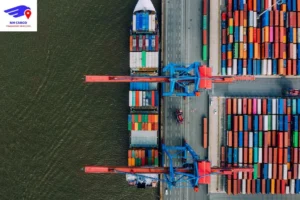 Relocation Tips from NM Cargo Shipping and Mover Service Experts