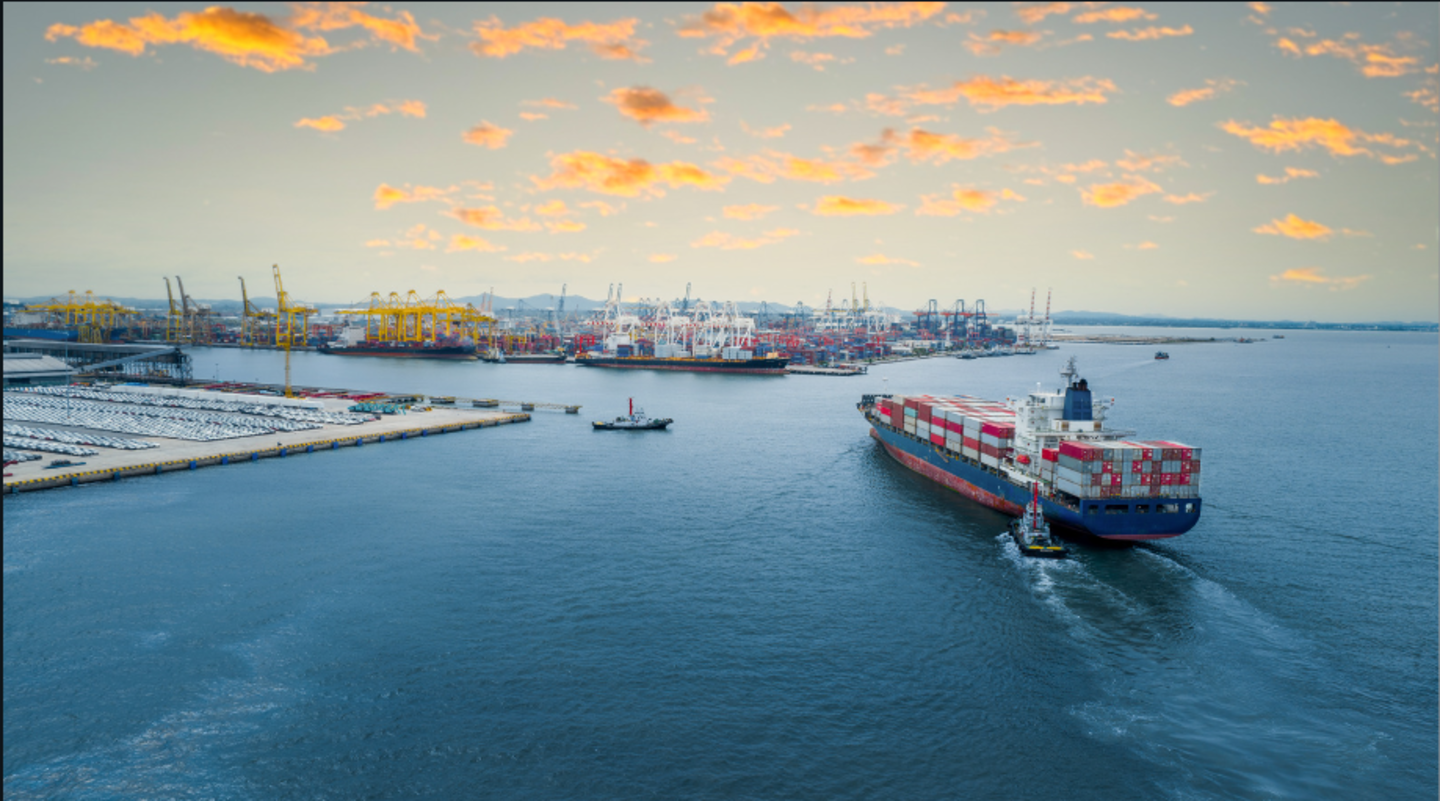 Alligator Shipping Container Line