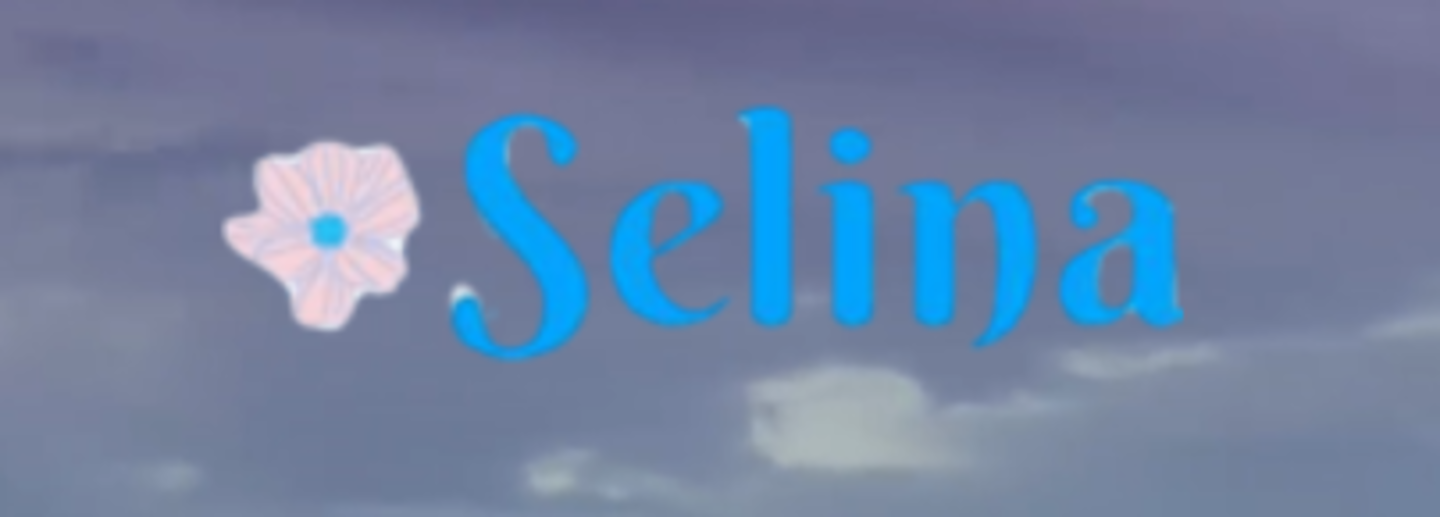 Selina Shipping Lines