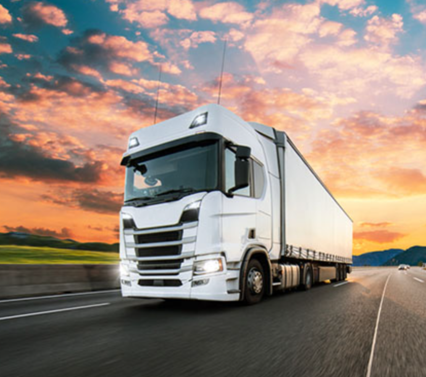 Amina Ali Cargo Services