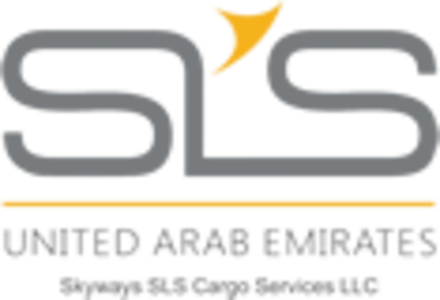 Skyways SLS Cargo Services